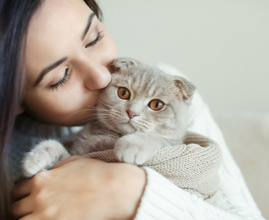 Learn More about Union Plus Pet Insurance Learn More about Union Plus Pet Insurance