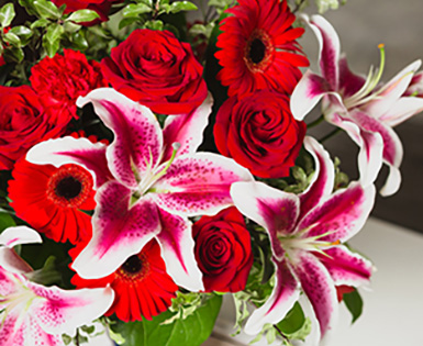Save 25% on Teleflora Flowers and Gift Baskets for Valentine's Day  Save 25% on Teleflora Flowers and Gift Baskets for Valentine's Day
