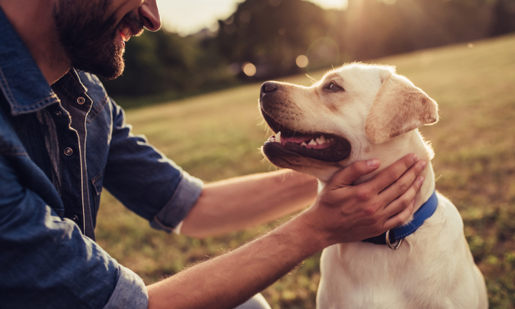 Owner with happy dog