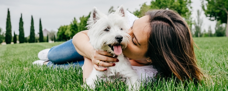 Union-Made Pet Products Union-Made Pet Products